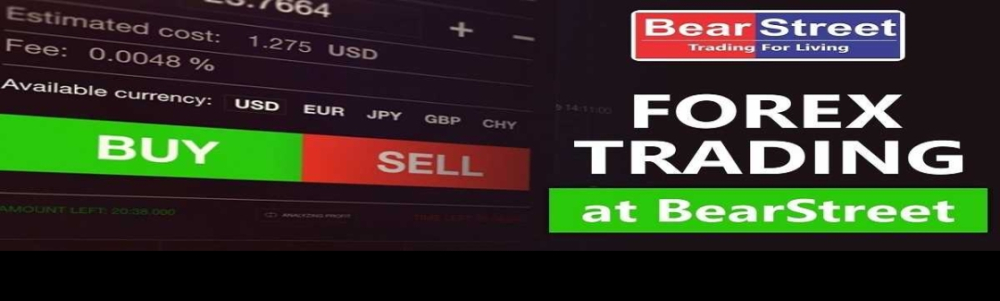 User banner image