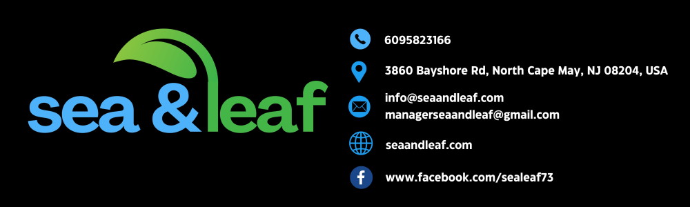 User banner image